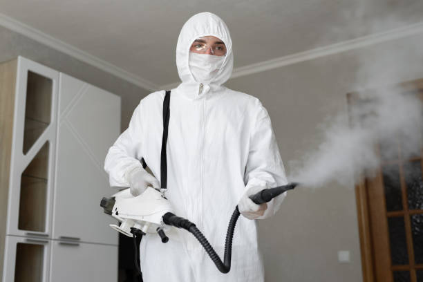 Best Commercial Mold Inspection  in Buffalo, OK